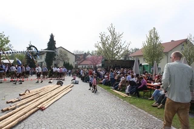 Maibaum 2013